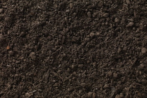 Topsoil